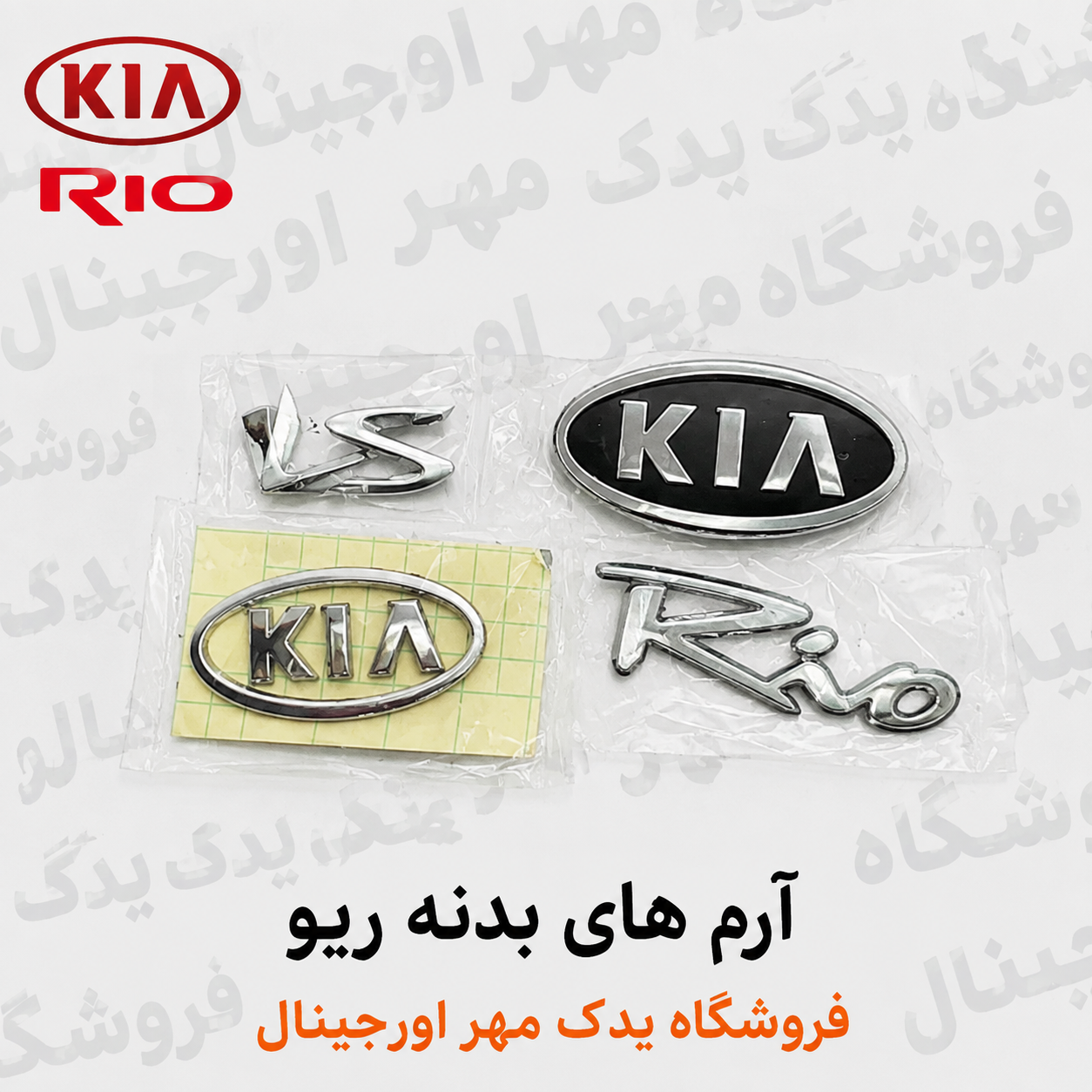 آرم بدنه ریو
