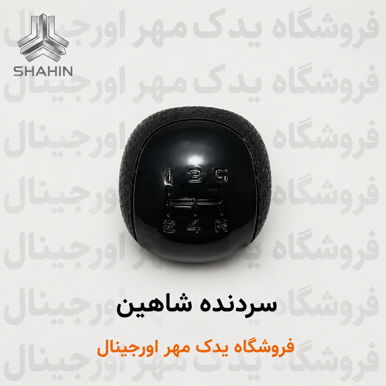 سردنده شاهین