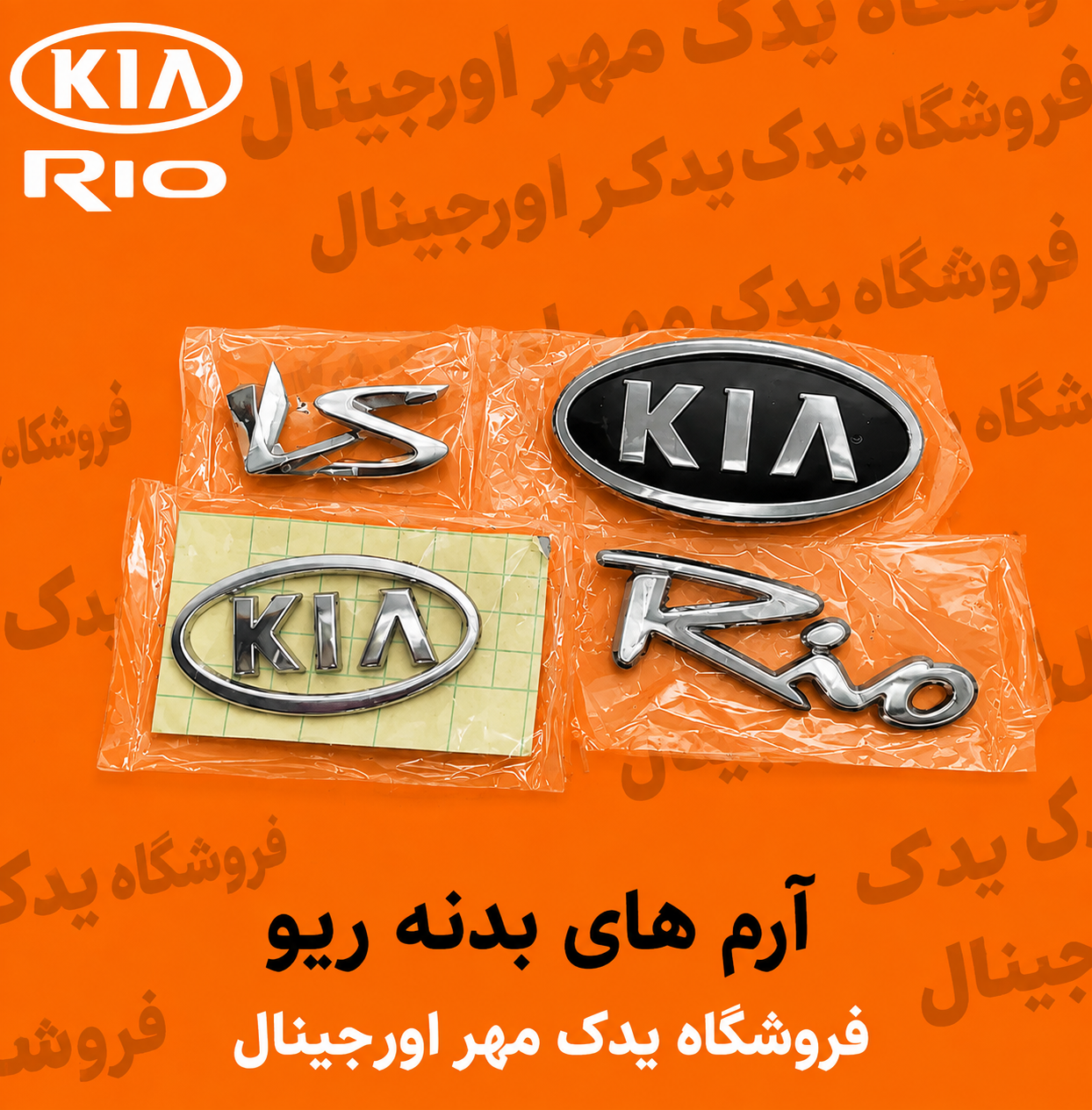 آرم بدنه ریو