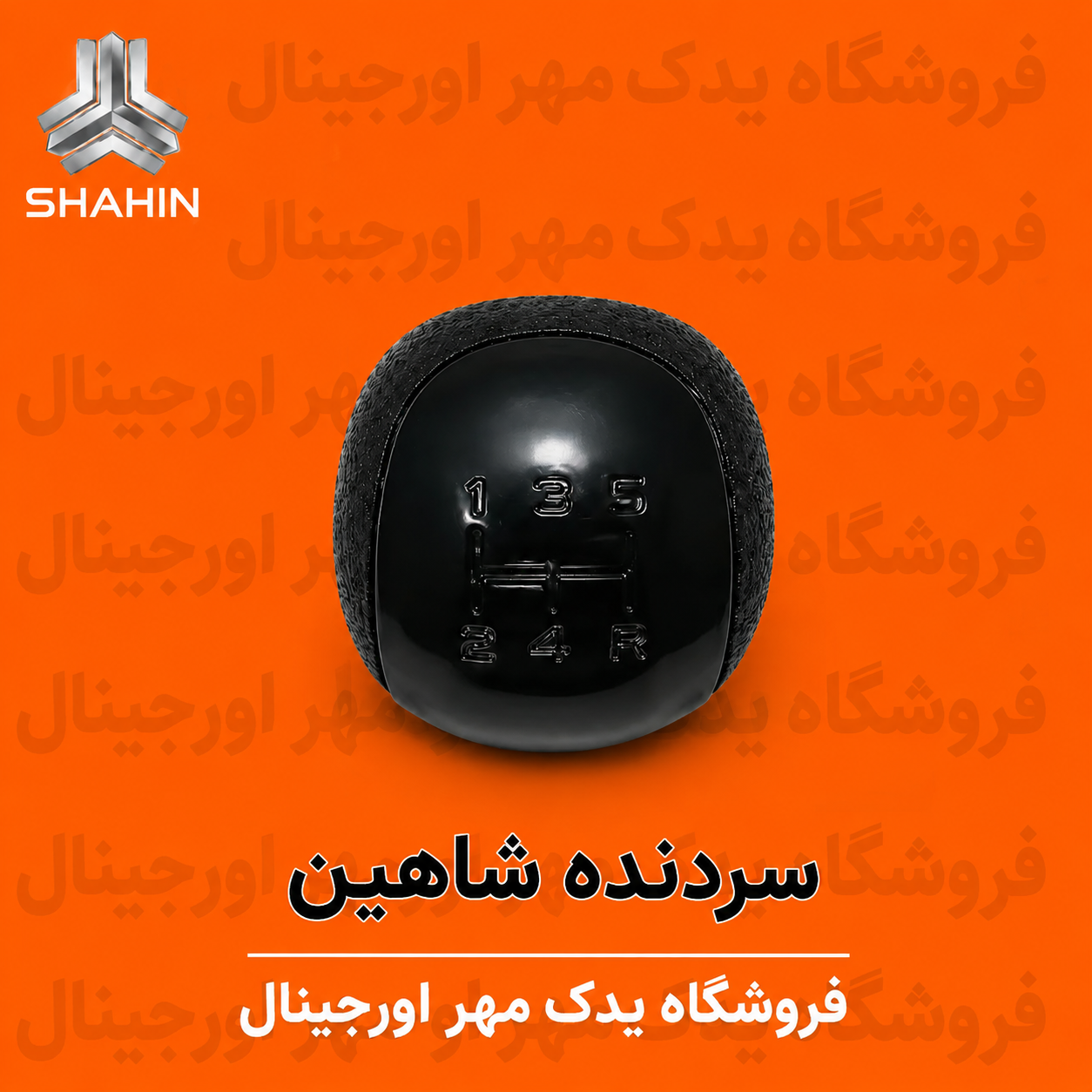 سردنده شاهین